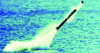 Figure 6 - Water release from the SM39 missile underwater vehicle (MBDA-DGA-CEM)