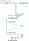 Figure 1 - Gliding flight