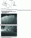 Figure 14 - Suspension spring breakage during endurance test on scale incrustation