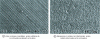 Figure 18 - The final surface appearances
of the test specimens subjected to three-body abrasion using the Calotest
method (Figurec) [44]