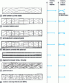 Figure 6 - Panel structures to reduce or eliminate wood deformation during drying. The further down the figure, the more stable the panels.