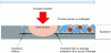 Figure 19 - Process-induced structural defects (source: [11])