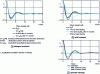Figure 29 - Axial correlation function describing the platelet stacking of a Nylon rope that has undergone various washings