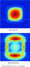 Figure 8 - Fast neutron and thermal fluxes