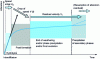 Figure 13 - Schematic representation of the different stages in the weathering kinetics of silicate glass, from [8]