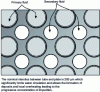 Figure 3 - Configuration of the drilled spacer plates
of the first generations of Westinghouse and Framatome-type GVs.