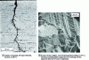 Figure 38 - Examples of transgranular cracks in
type 18-10 stainless steel in a chloride environment (after [47])