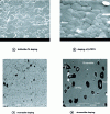 Figure 6 - SEM observations of the surface of sintered ceramic samples