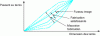 Figure 3 - Characterization of production by the "image" spindle