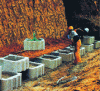 Figure 40 - Installation of a vegetated retaining wall