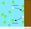 Figure 2 - Adsorption (Diagram – Source: https://souslemicroscope.com/adsorption/)