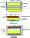 Figure 7 - Drained vertical flow filter bed