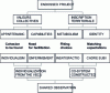 Figure 1 - Relative positioning of the various dimensions mobilized