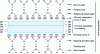Figure 3 - Bonding of aqueous phases to the clay surface (source CTMNC, after 7)