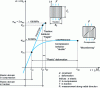 Figure 6 - Behavior of wood in tension/compression
in the longitudinal direction
