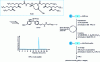 Figure 23 - Use of a heavy fluorinated molecular support, F-OH, for the synthesis of a tripeptide