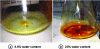 Figure 10 - Example of carotenoid extraction yield from Dunaliella salina microalgae dried by hot air flow at two different water contents (Credit: Mouahid et al.)