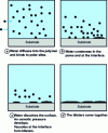 Figure 20 - Mechanism of water damage to adhesive joints according to Cognard (from [105])