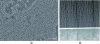 Figure 9 - Example of an OAS anodized layer on alloy 5764: (a) SEM image of the surface, (b) STEM cross-section (dark field mode).