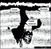 Figure 23 - Oxidized layer with cracking between yttrium-rich coarse oxides and an outer alumina layer on a Ni-10Co-20Cr-9Al-Y alloy after 100 h oxidation at 1,000°C in Ar-20% O2[46] medium.