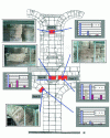 Figure 11 - Salt analysis and mapping (Source: Lerm)