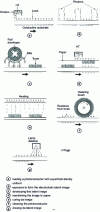 Figure 22 - Xerographic processes: the seven stages