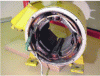 Figure 5 - Wound Stator of a DC Motor