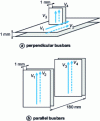 Figure 31 - Simplified modeling to calculate the coupling between two busbars (2D mesh)