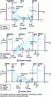 Figure 1 - One-dimensional schematic diagrams of the main bipolar components