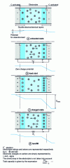 Figure 9 - Schematic representation of supercapacitor operation using activated carbon electrodes