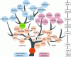 Figure 1 - Tree diagram mapping of electrode materials
for lithium primary and secondary batteries (taken from
[1])