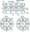 Figure 15 - Structure of a hybrid motor with dual axial excitation (from [10] )