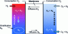 Figure 28 - Nitrogen stratification at the anode (exchanges with the cathode)