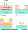 Figure 15 - Schematic diagrams of the technological realization of a T-grid