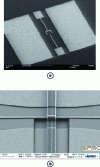 Figure 5 - Examples of coplanar RF photocommutators on GaAs BT substrate operating with external illumination (a ) [20] or with integrated light guide (b) – (Courtesy of IEMN [21])