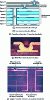 Figure 2 - Multilayer printed circuit board with microvias (HDI technology)