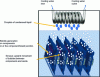 Figure 3 - Principle of an immersion cooling system for a set of electronic components arranged on a set of boards