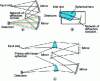 Figure 7 - Spectro-imagers derived from an Offner assembly, with a convex grating (a) from the PHILLS instrument (Naval Research Laboratory – USA) [15] or prisms (c) from the CHRIS instrument (Sira Electro-Optics-GB) [2], and a Dyson assembly, with a concave grating (b) from the MERIS instrument (made by Alcatel – France – for an ESA satellite) [12].