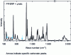 Figure 23 - Raman spectrum of PP loaded with 7% CaCO3