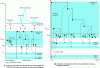Figure 10 - Relaxation mechanisms involved during the scintillation process