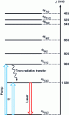 Figure 9 - Erbium ion spectroscopy