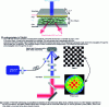 Figure 10 - Spatial light modulator based on thermo-optically addressed liquid crystals