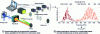 Figure 15 - TOA-SLM for phase modulation over a multi-octave spectral band: experimental setup