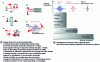 Figure 3 - Spectro-temporal manipulation of femtosecond pulses