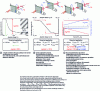 Figure 8 - Thick-film electro-optical nematic for femtosecond pulse handling