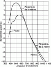 Figure 53 - Spectral sensitivity curves for the eye at the fovea and retinal periphery