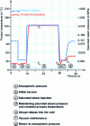 Figure 2 - Temperature and pressure trends during DIC treatment