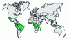 Figure 1 - Worldwide distribution of oil palm cultivation
