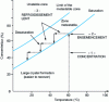 Figure 6 - Schematic representation of the concentration and crystallization steps to obtain small lactose crystals [1].