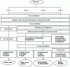 Figure 3 - Various transformation processes for raw maple sap
